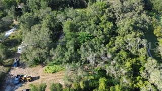 Little Ranch Spring Hill Spring Hill, FL 34610 - Photo 9 of 10 a view of a forest with a tree