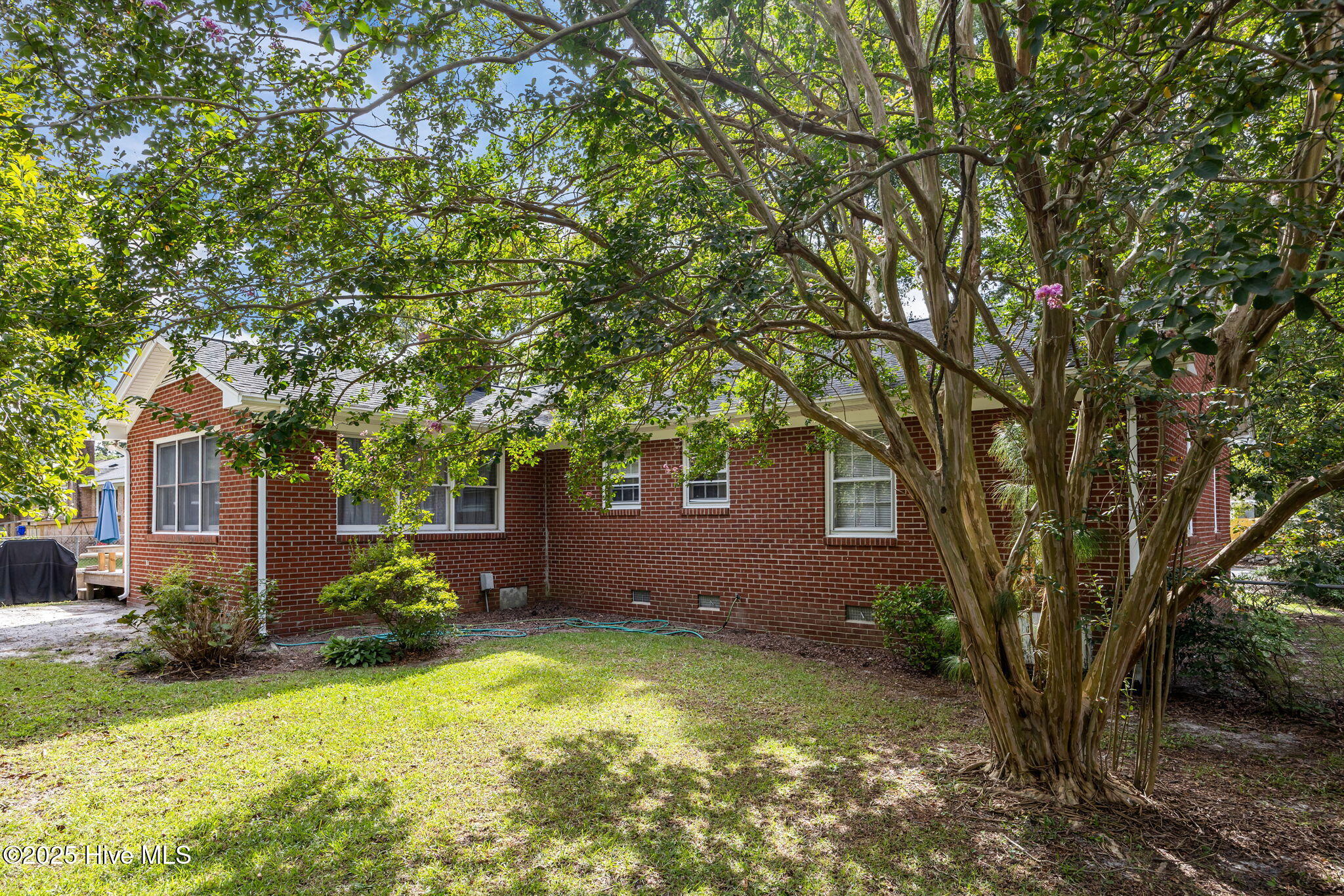 320 Prince Road Greenville, NC 27858 - Photo 44 of 49 50-web-or-mls-IMG_1304