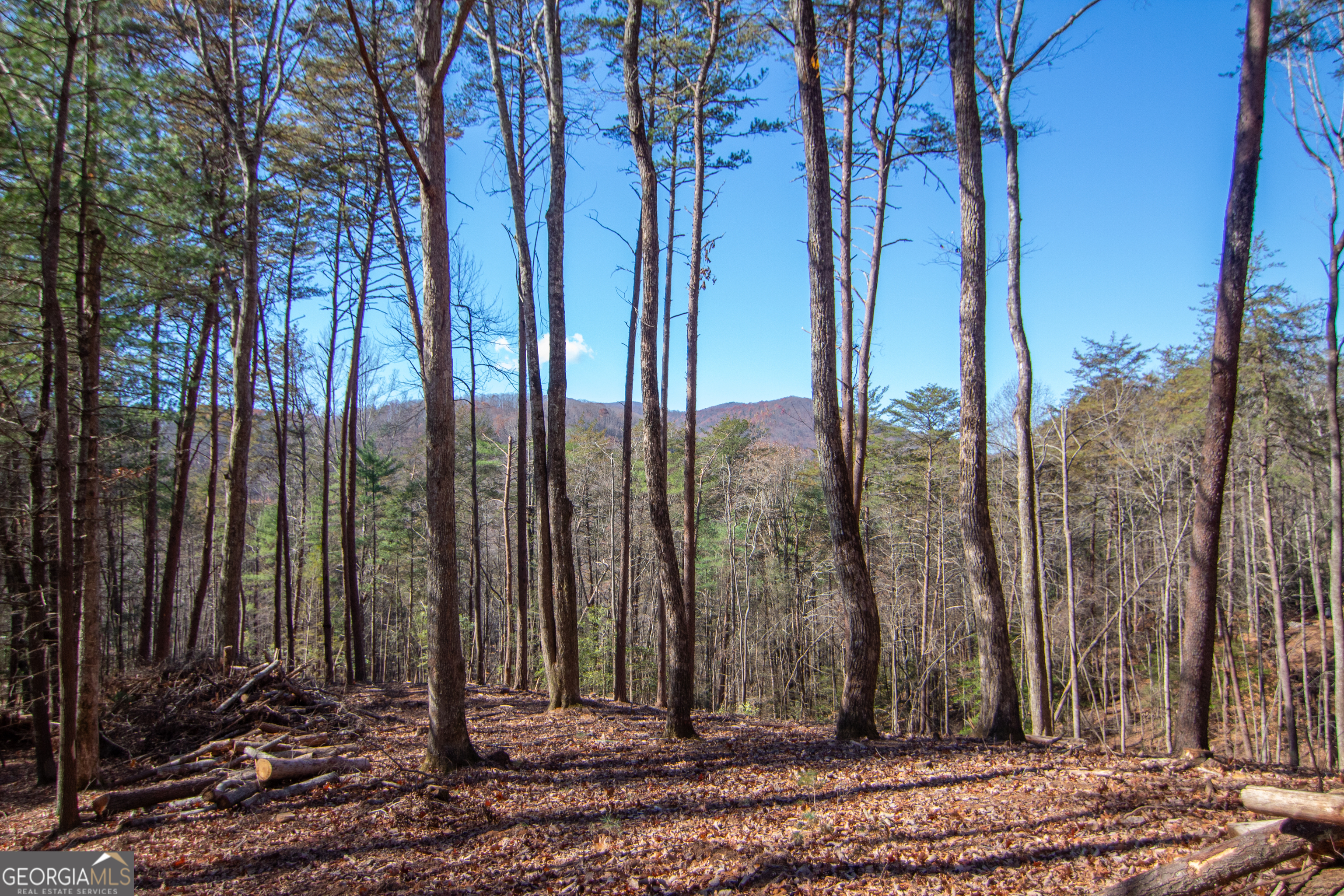 2 A Clay's Way Cherry Log, GA 30522 - Photo 12 of 13 a view of a backyard with large trees and wooden fence