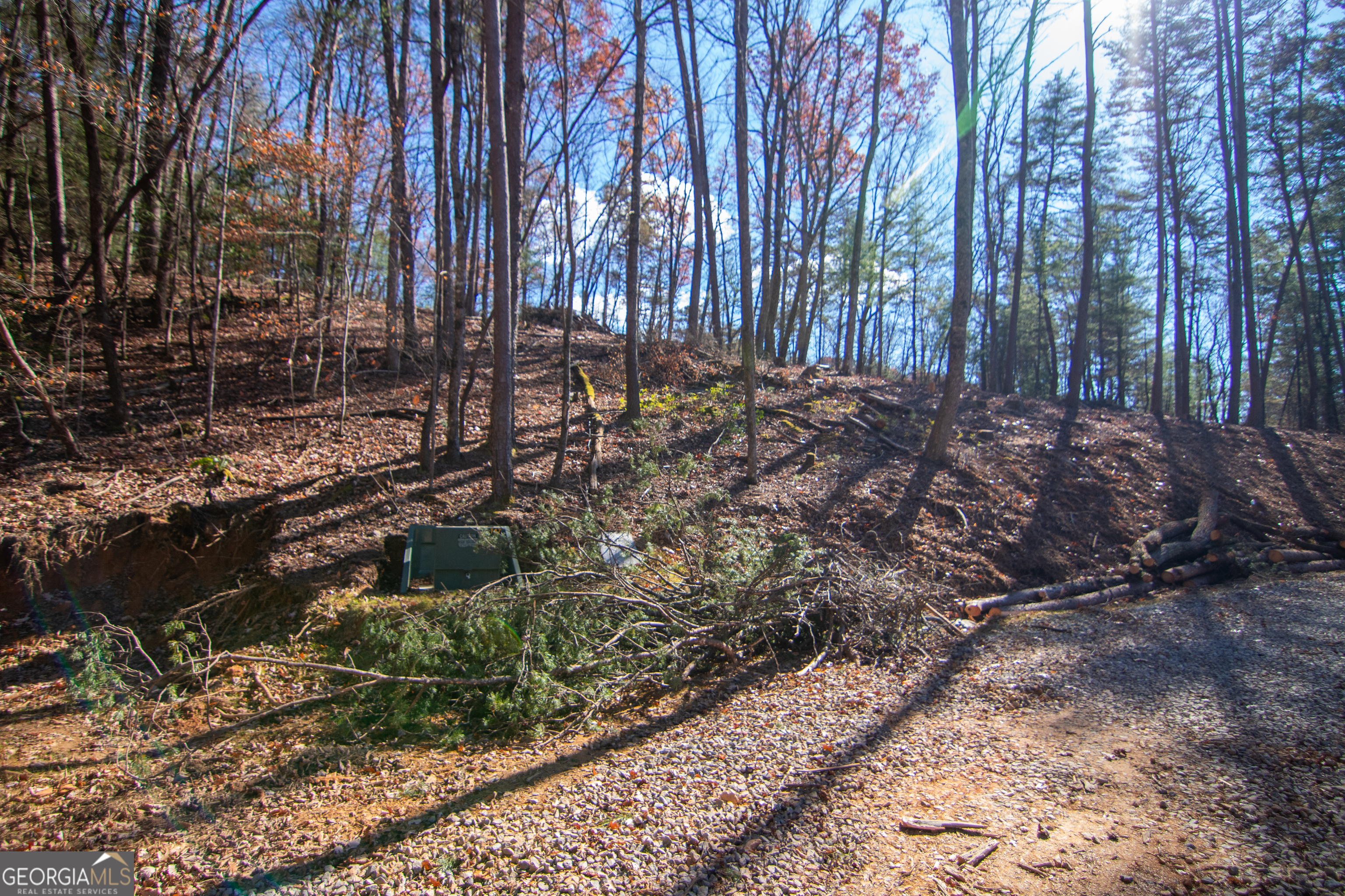 2 A Clay's Way Cherry Log, GA 30522 - Photo 5 of 13 a view of a backyard with large trees