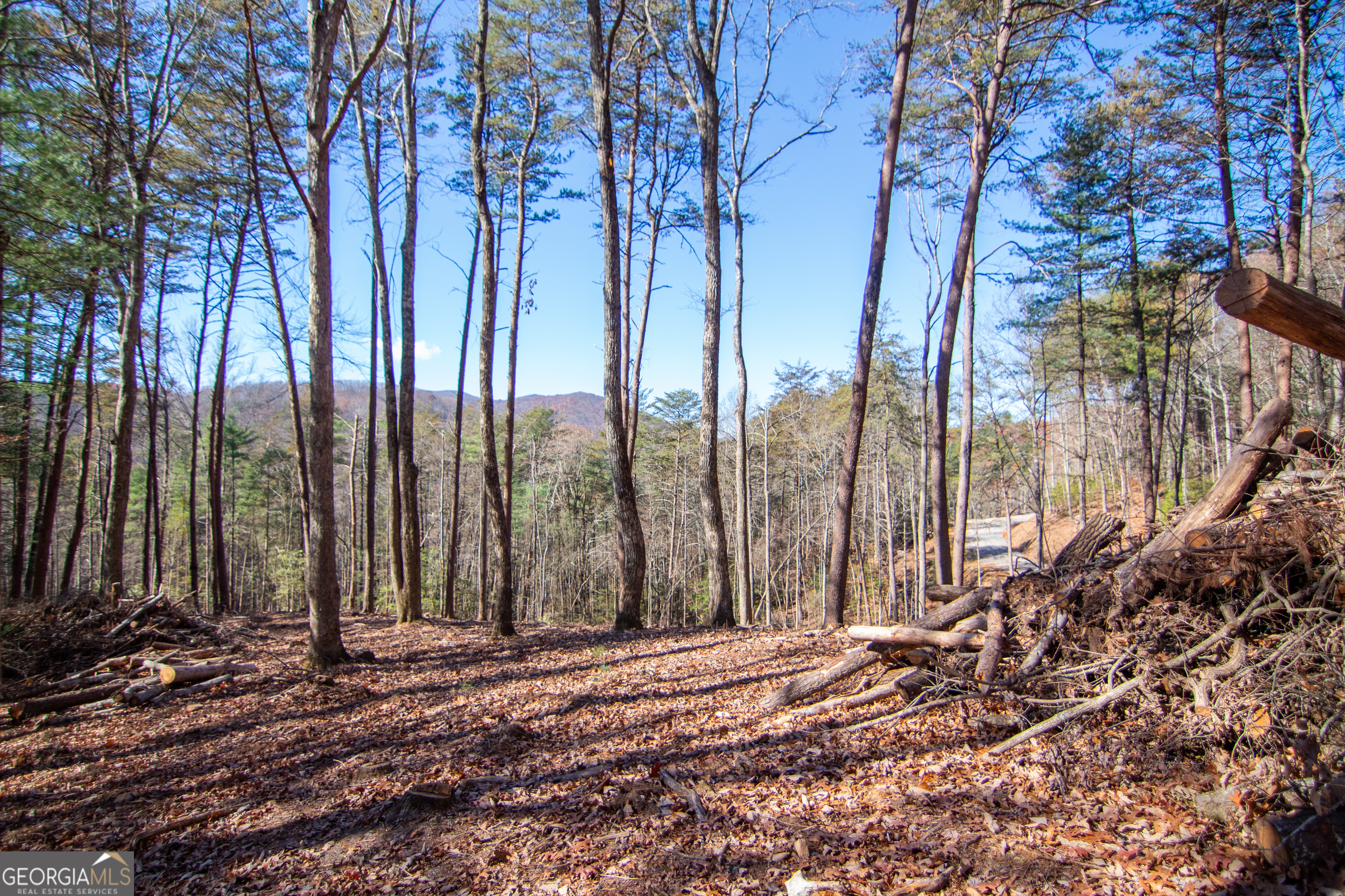 2 A Clay's Way Cherry Log, GA 30522 - Photo 6 of 13 a view of a forest with trees