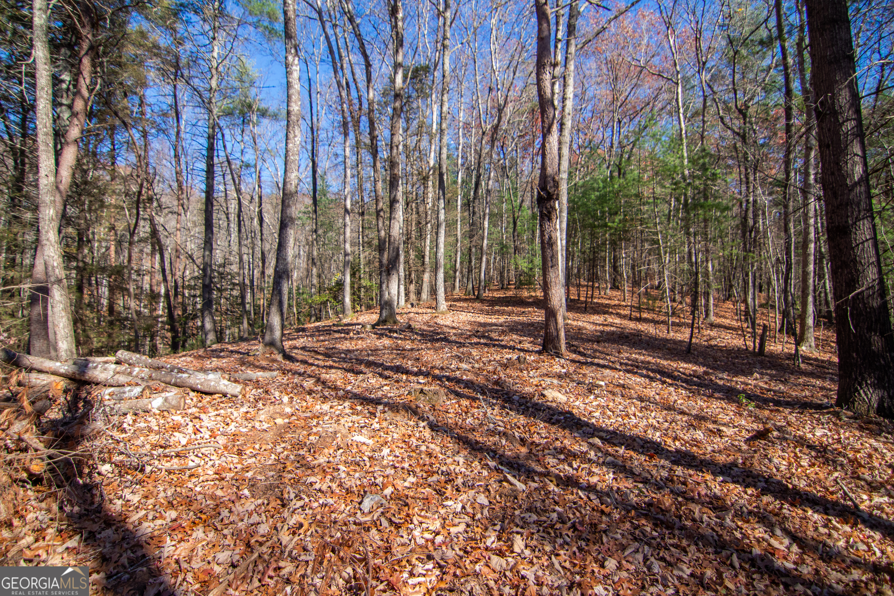 2 A Clay's Way Cherry Log, GA 30522 - Photo 7 of 13 a backyard of a house with lots of green space