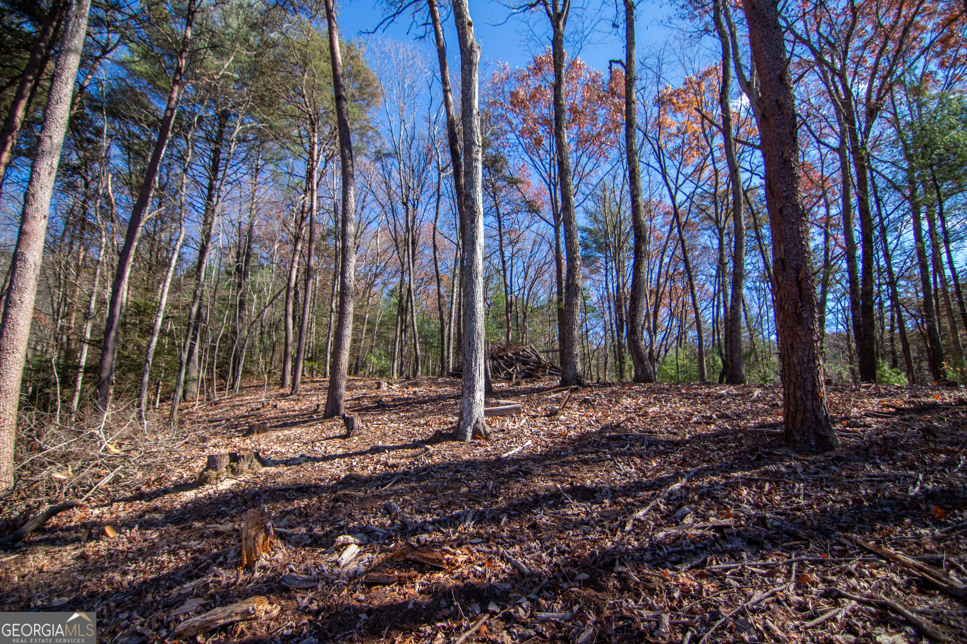 2 A Clay's Way Cherry Log, GA 30522 - Photo 10 of 13 a backyard of a house with lots of trees