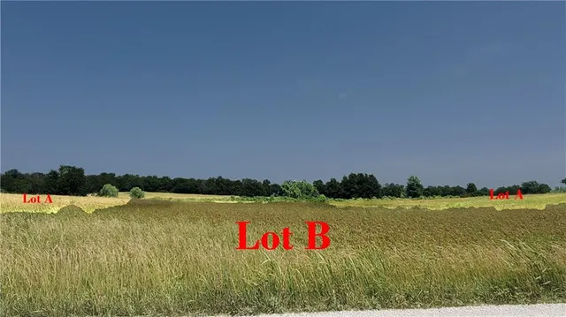 $220,000 | Tbd Lot B East Tbd Street, Freeman, MO 64746