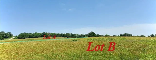 $220,000 | Tbd Lot B East Tbd Street, Freeman, MO 64746