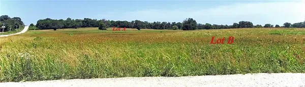 $220,000 | Tbd Lot B East Tbd Street, Freeman, MO 64746
