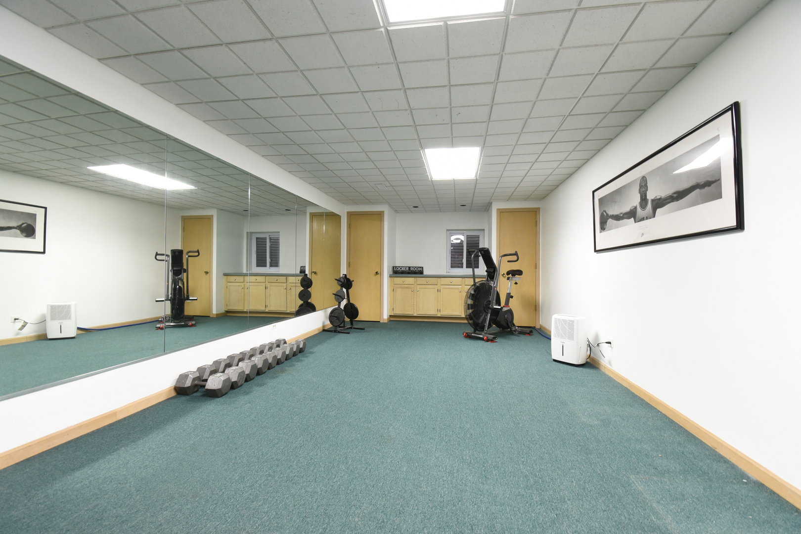 307 Anne Court Prospect Heights, IL 60070 - Photo 25 of 47