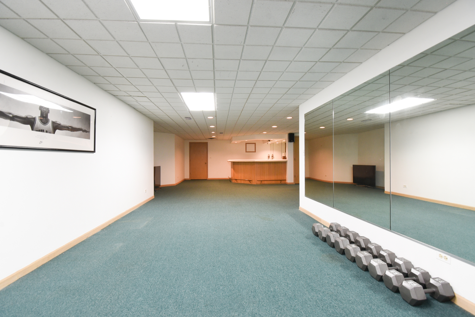 307 Anne Court Prospect Heights, IL 60070 - Photo 29 of 47