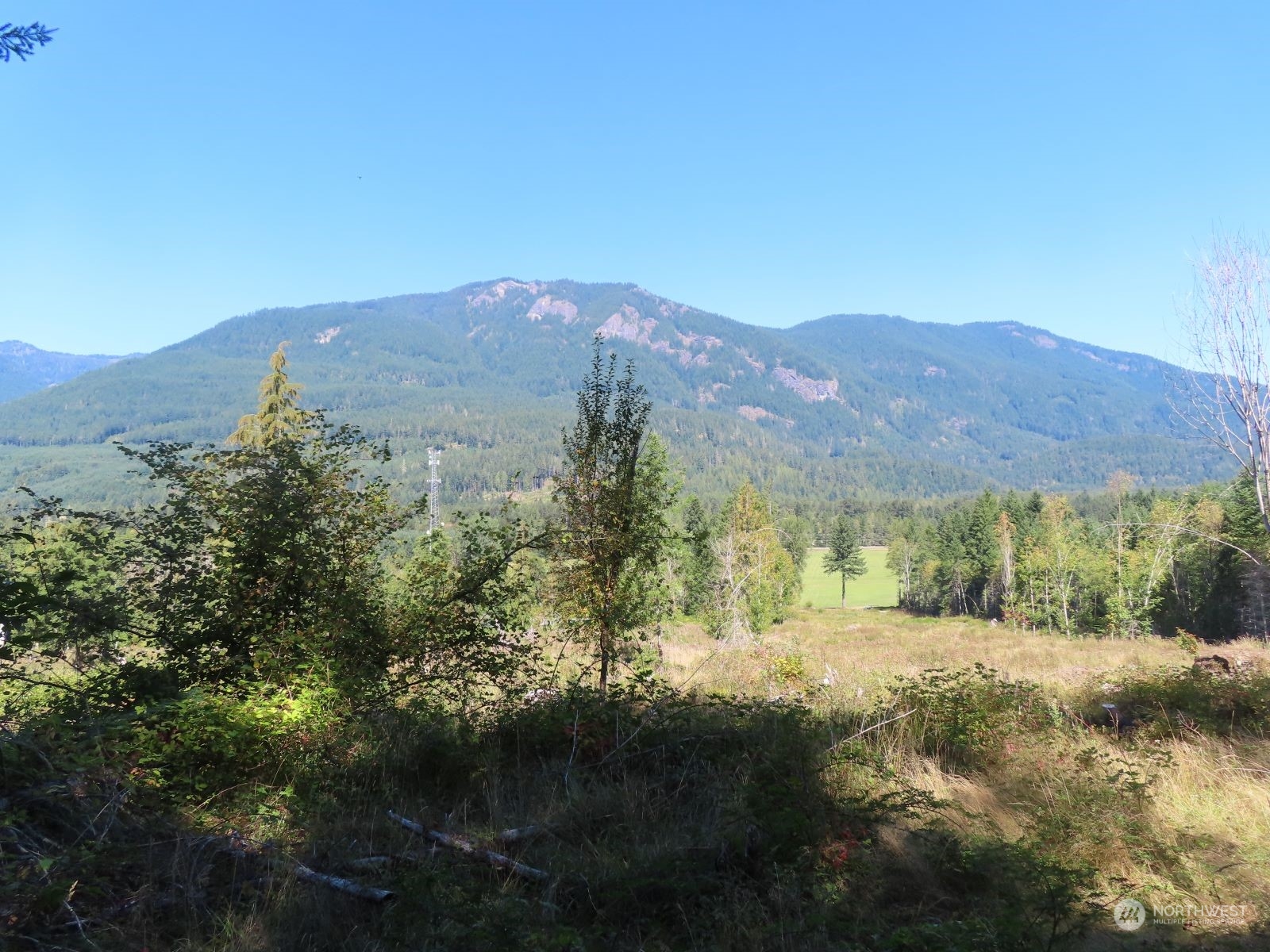 -xxx Bennett Road Randle, WA 98377 - Photo 1 of 34 Gallery Image 1