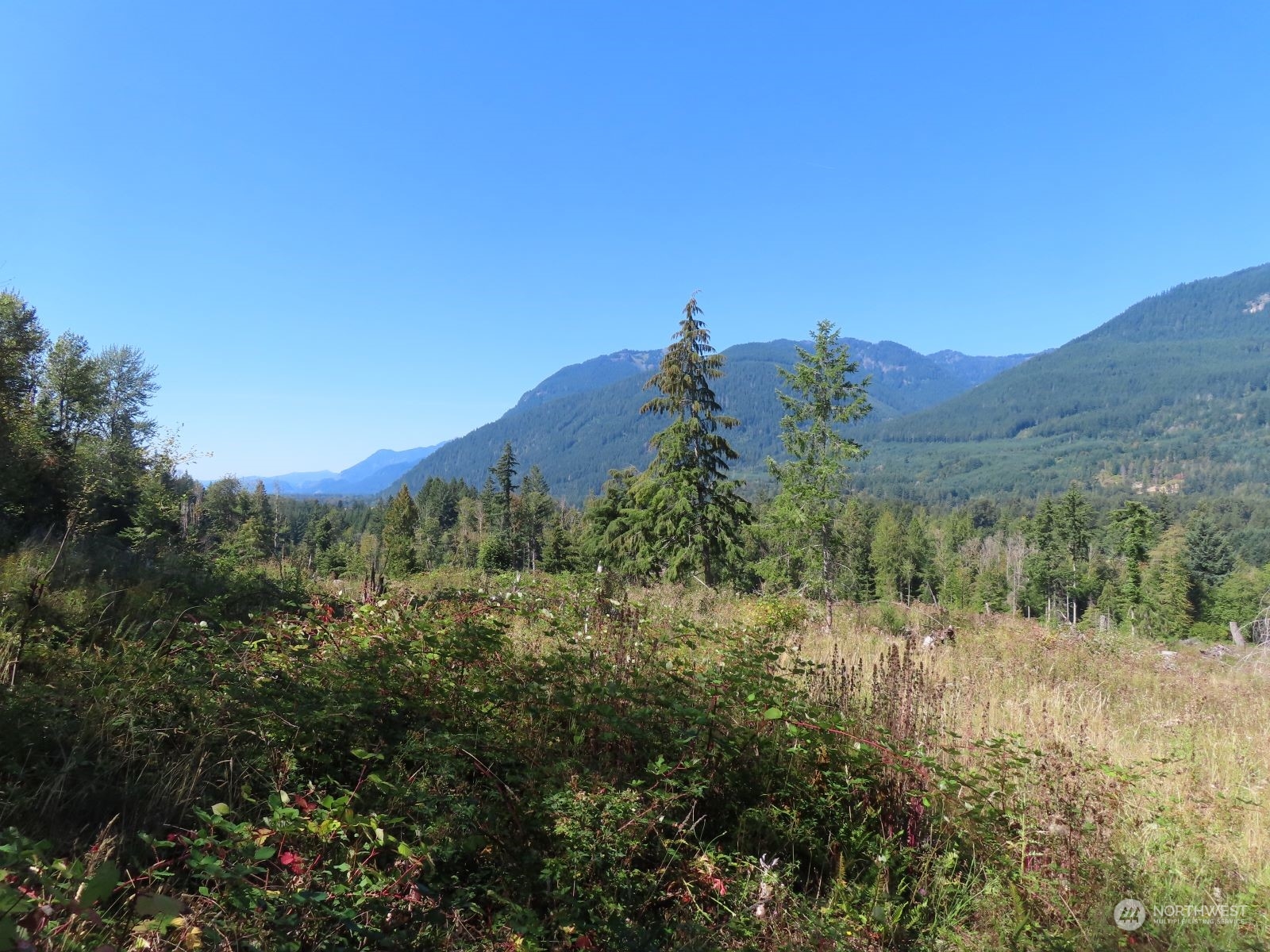 -xxx Bennett Road Randle, WA 98377 - Photo 28 of 34 Gallery Image 28