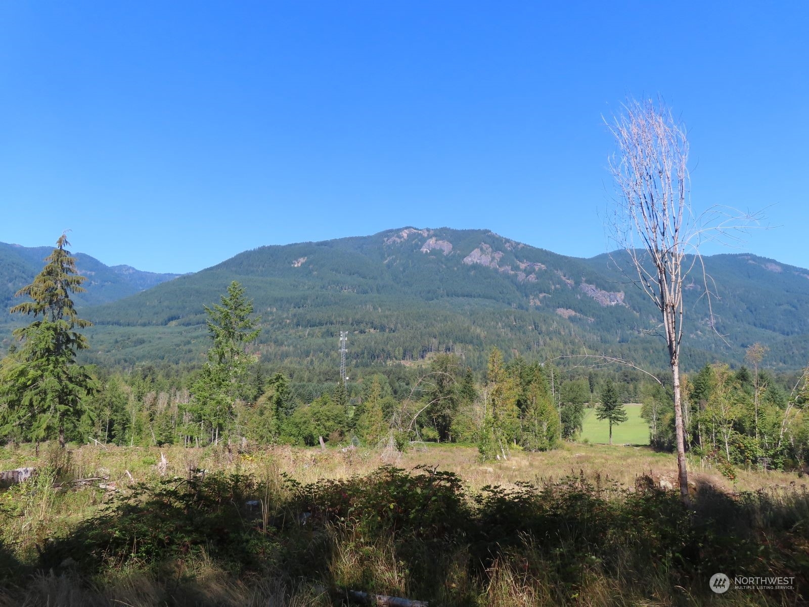 -xxx Bennett Road Randle, WA 98377 - Photo 3 of 34 Gallery Image 3