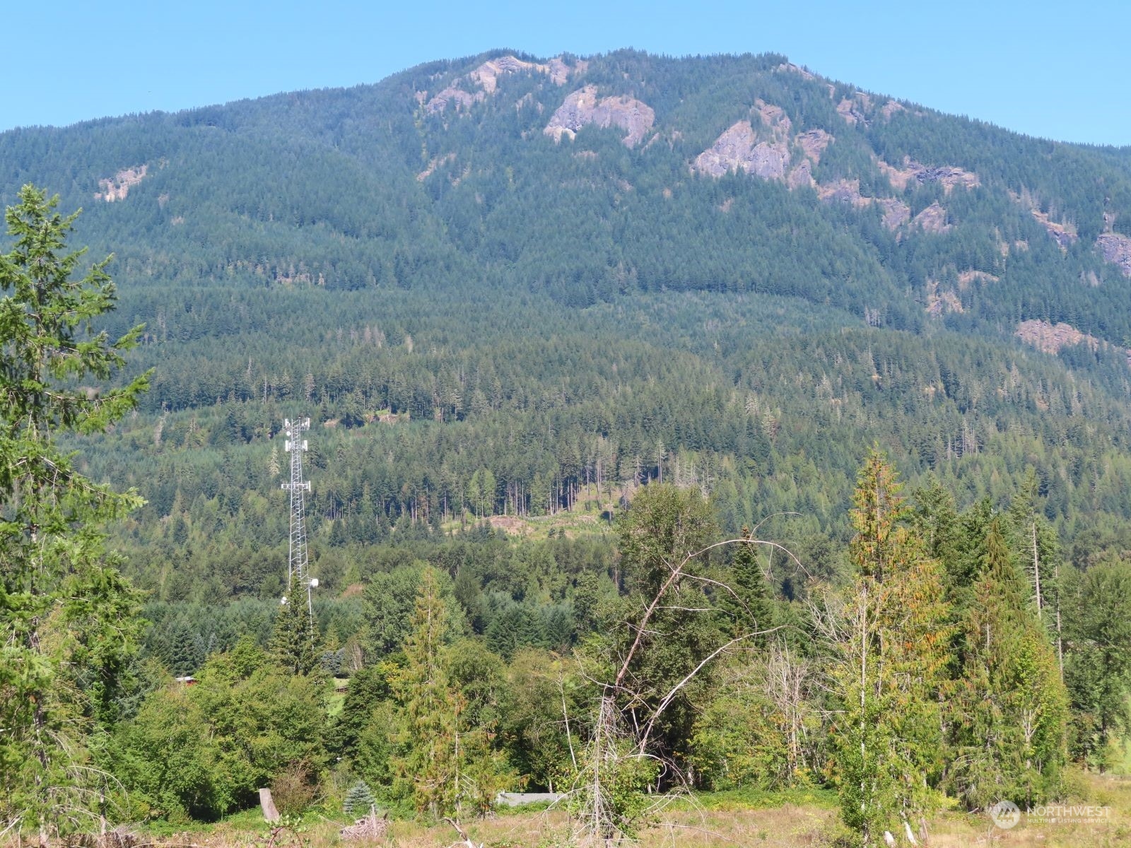 -xxx Bennett Road Randle, WA 98377 - Photo 5 of 34 Gallery Image 5