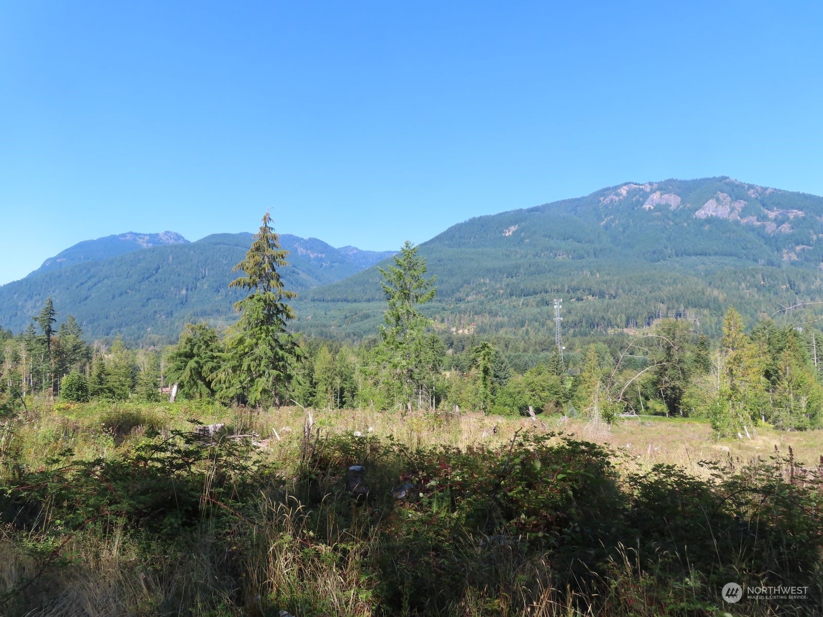-xxx Bennett Road Randle, WA 98377 - Photo 8 of 34 Gallery Image 8