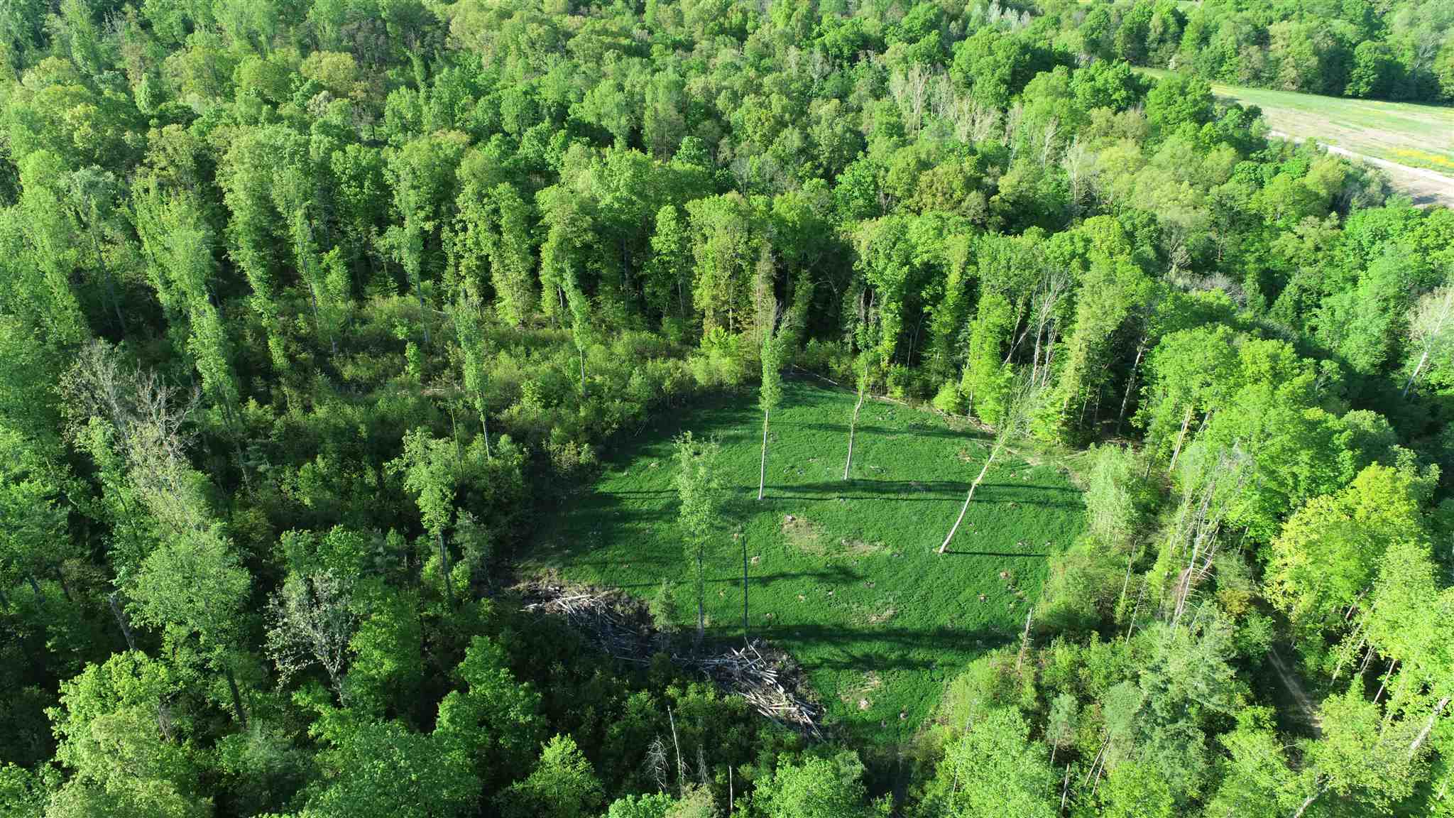 0 Renschler Road Coal City, IN 47427 - Photo 11 of 24