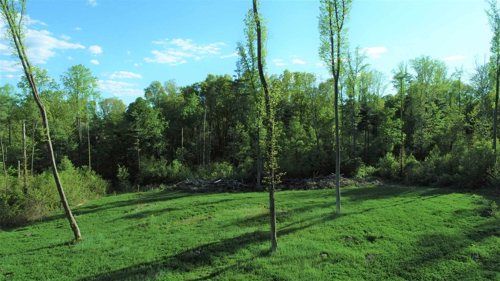 0 Renschler Road Coal City, IN 47427 - Photo 12 of 24