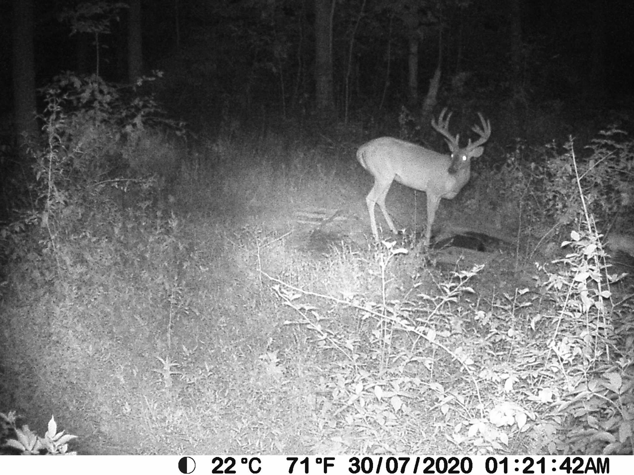 0 Renschler Road Coal City, IN 47427 - Photo 20 of 24