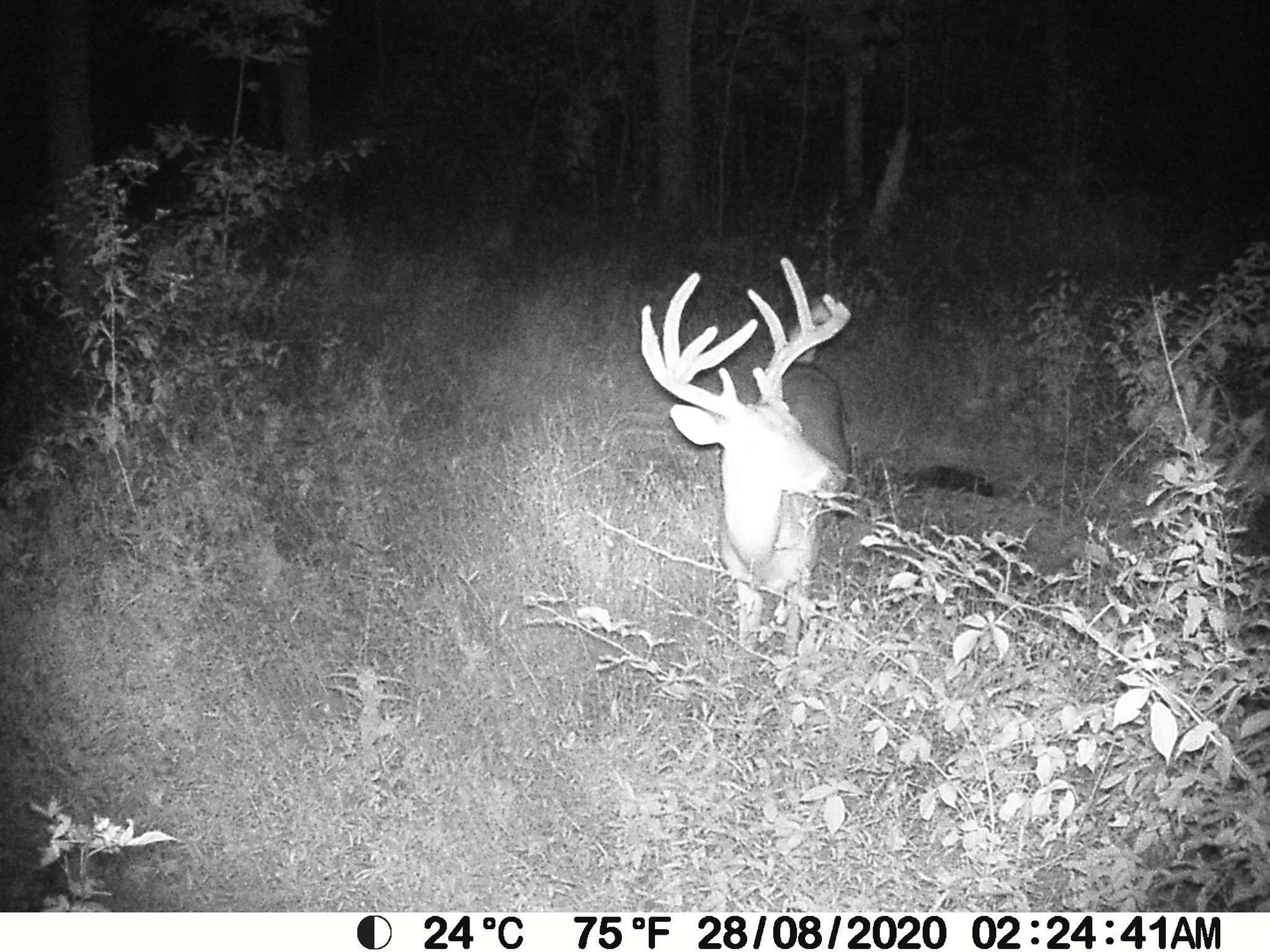 0 Renschler Road Coal City, IN 47427 - Photo 22 of 24