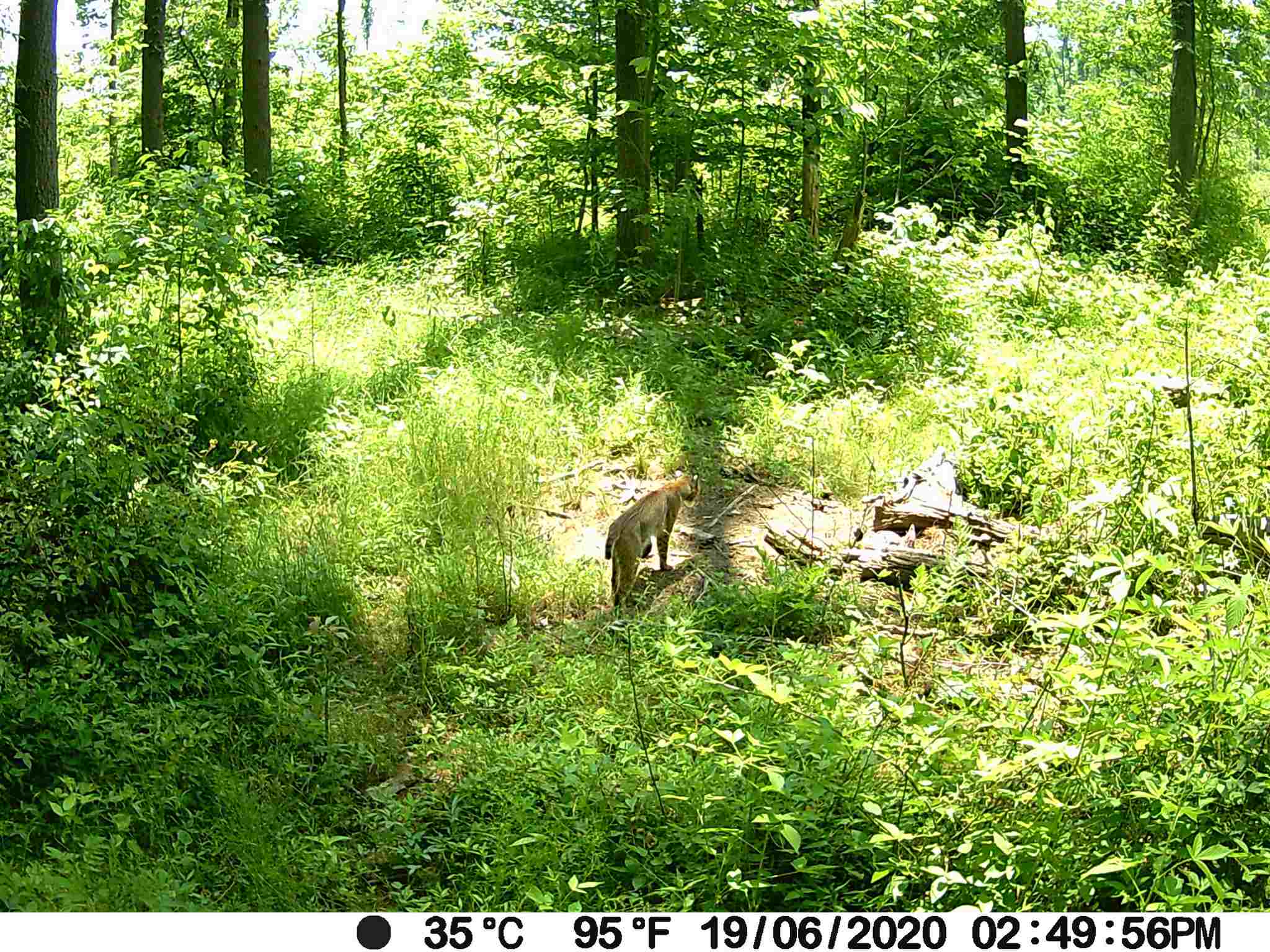 0 Renschler Road Coal City, IN 47427 - Photo 23 of 24