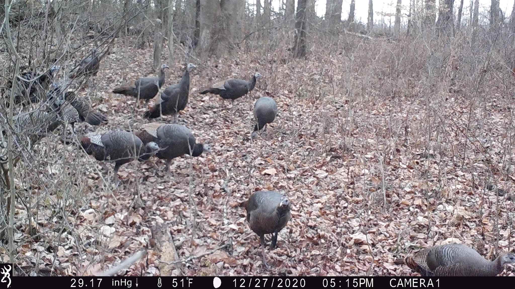 0 Renschler Road Coal City, IN 47427 - Photo 24 of 24