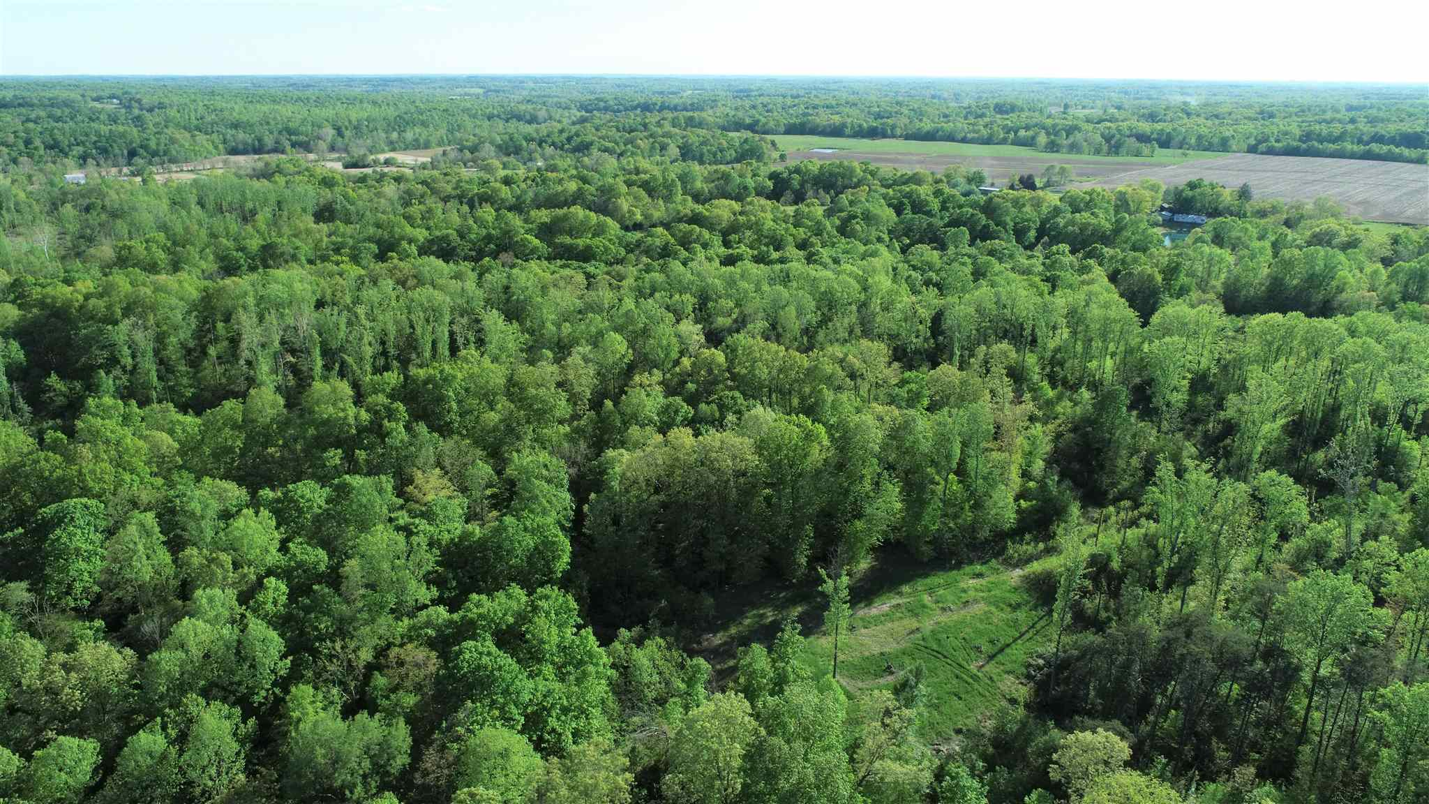0 Renschler Road Coal City, IN 47427 - Photo 6 of 24