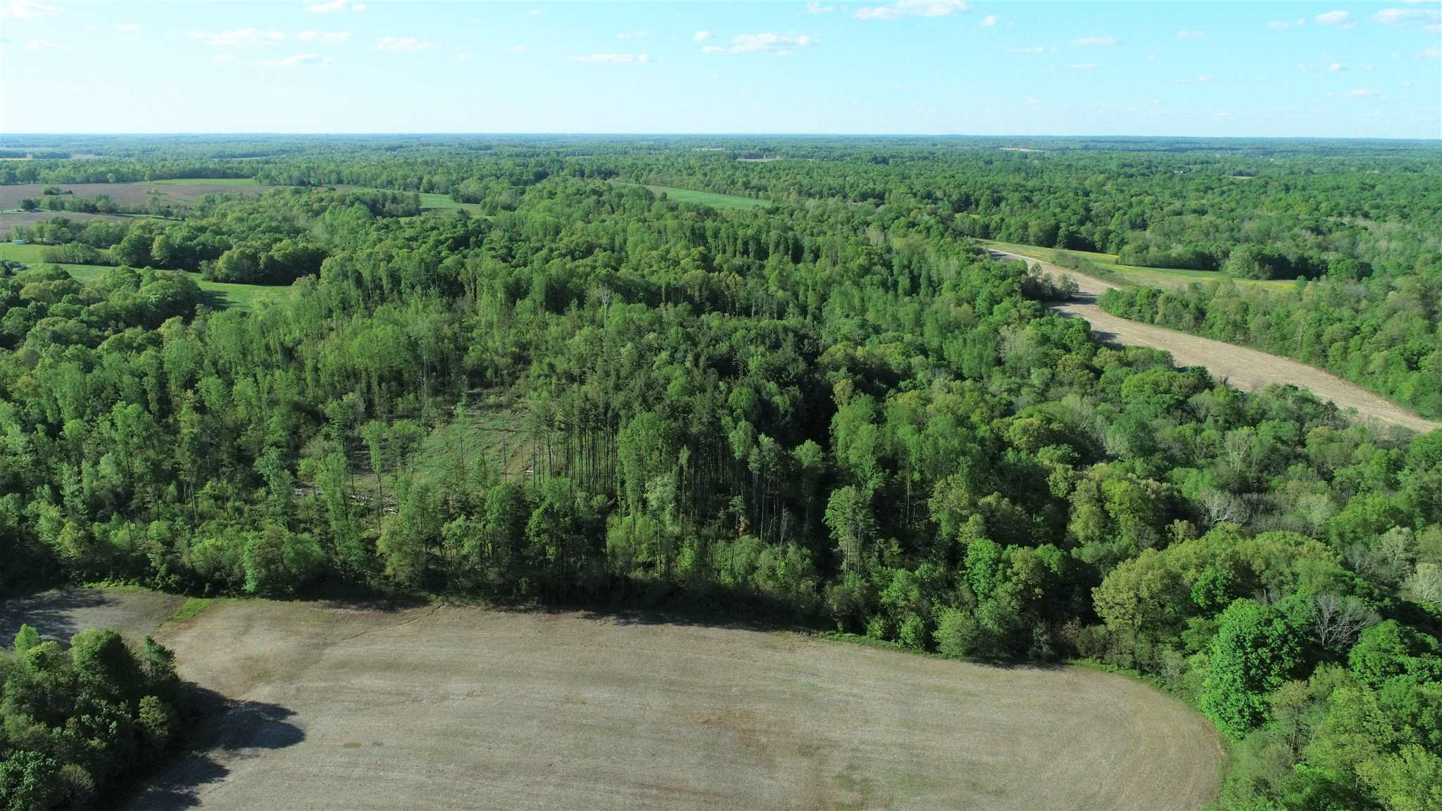 0 Renschler Road Coal City, IN 47427 - Photo 8 of 24