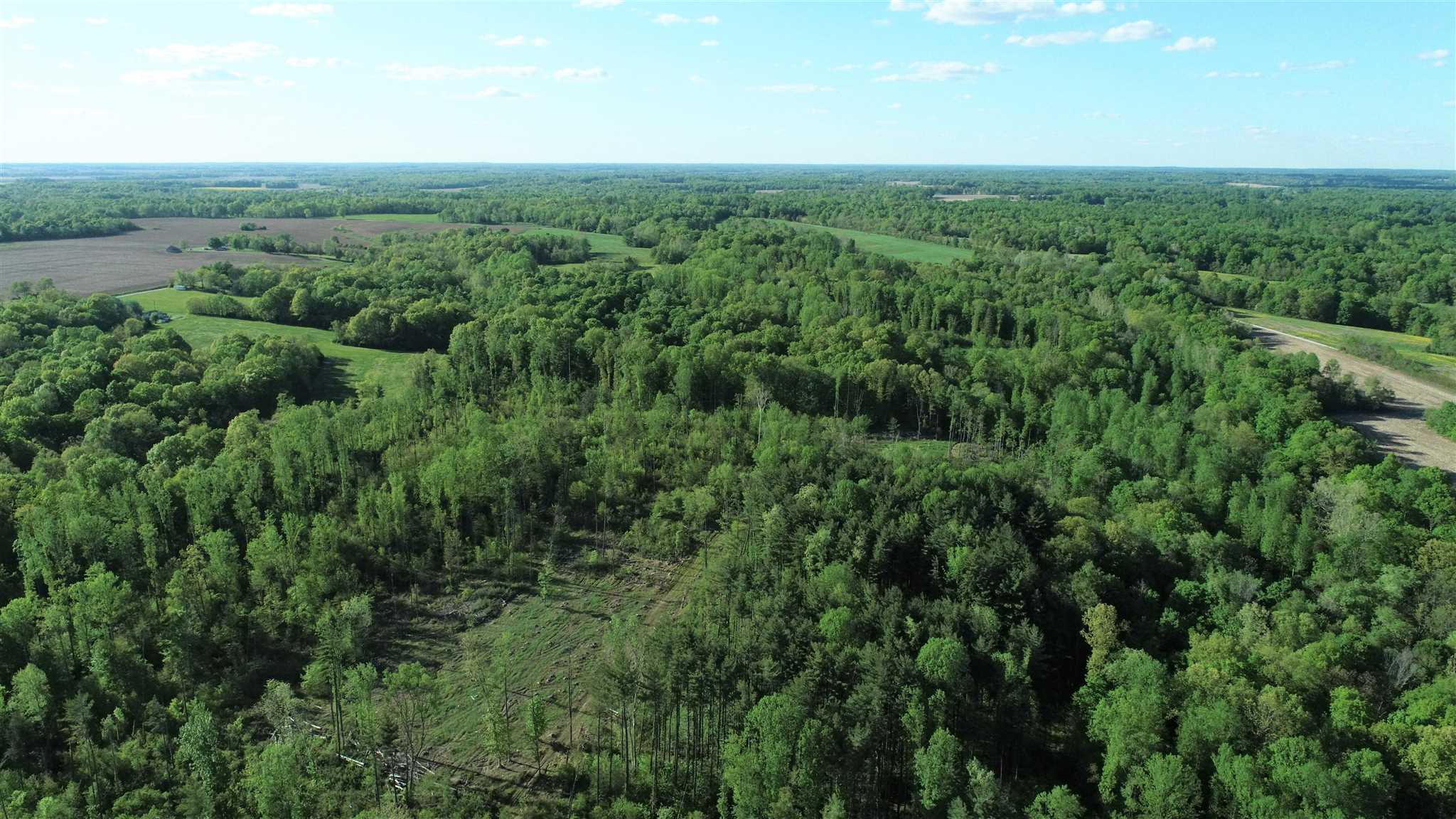 0 Renschler Road Coal City, IN 47427 - Photo 9 of 24