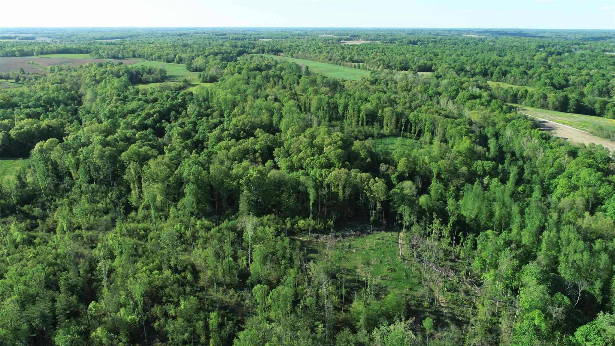 0 Renschler Road Coal City, IN 47427 - Photo 10 of 24