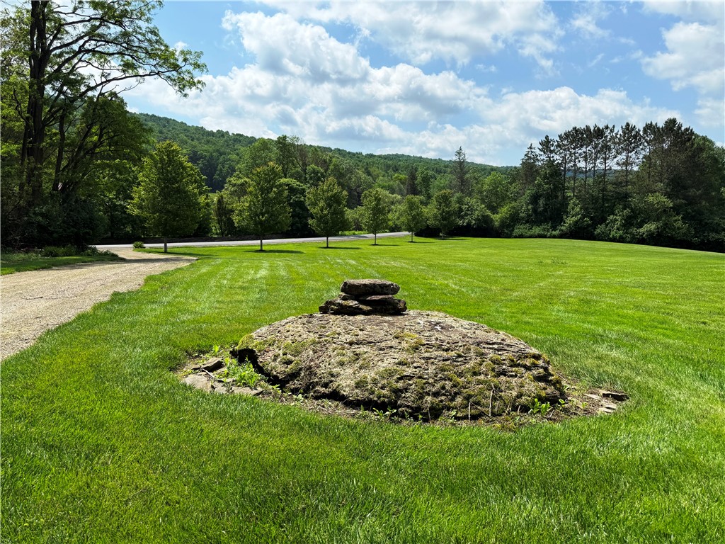 287 Pink Street Middlefield, NY 13326 - Photo 36 of 49