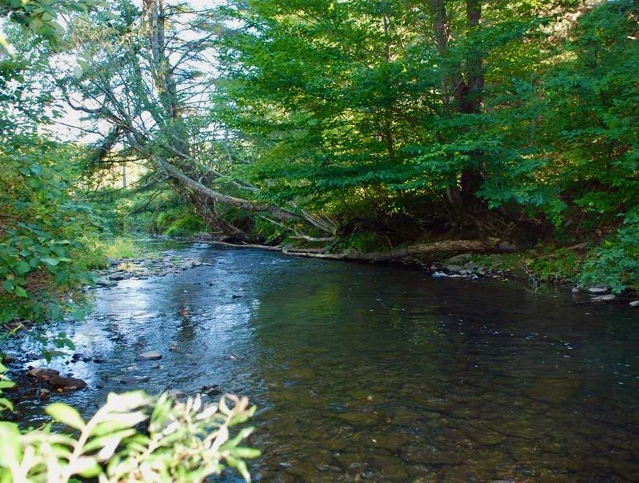 287 Pink Street Middlefield, NY 13326 - Photo 39 of 49 Red Creek flows year around through the back of th