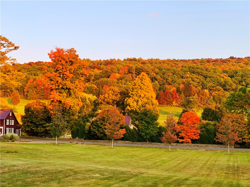 287 Pink Street Middlefield, NY 13326 - Photo 40 of 49