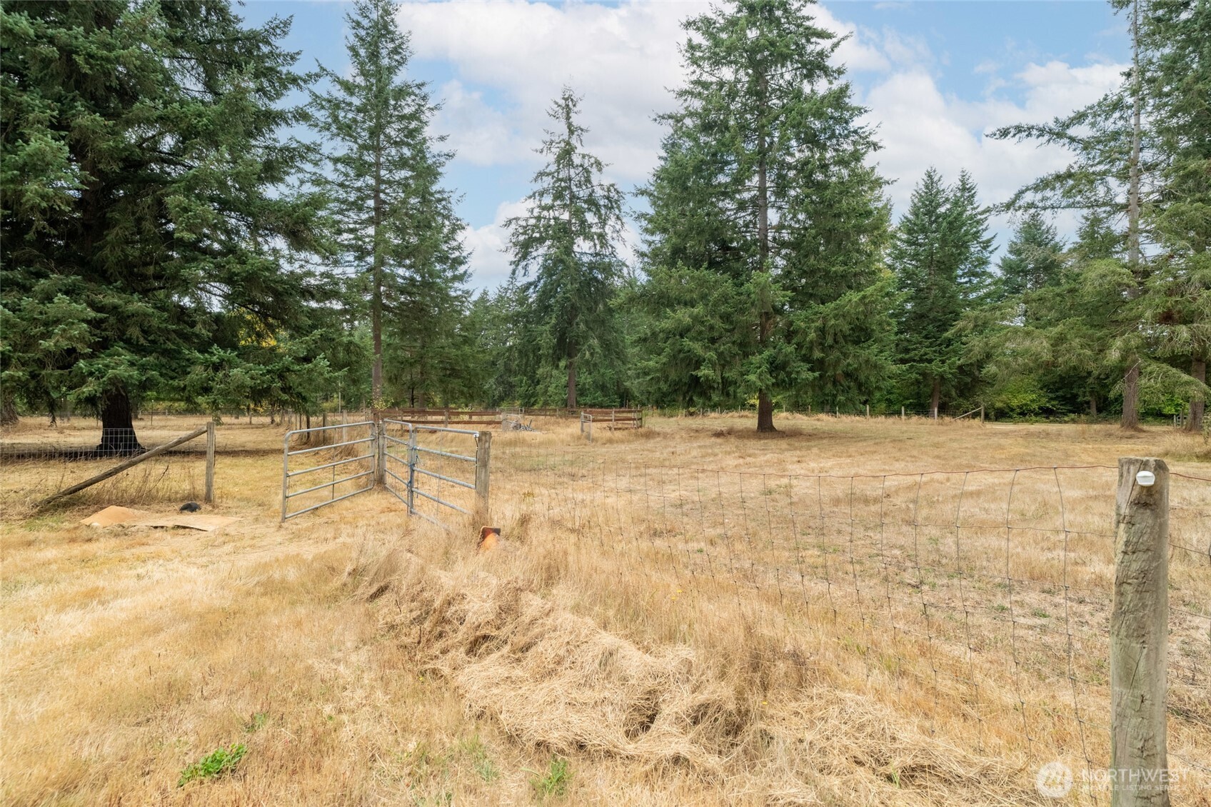 19503 Cook Road Southeast Yelm, WA 98597 - Photo 21 of 22 Gallery Image 21