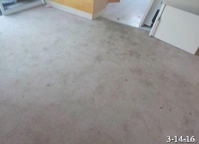 6287 Lapeer Road Burton, MI 48509 - Photo 18 of 21 DSCN0324.JPG