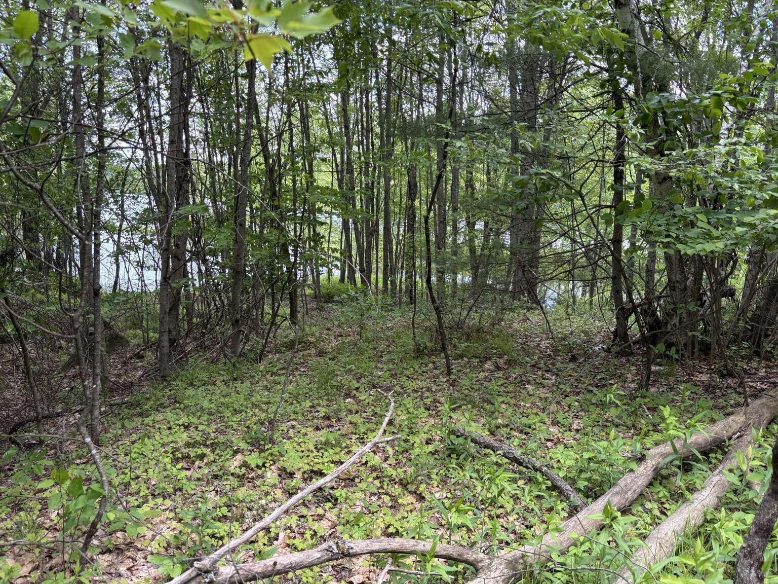 Lot A River Road Leeds, ME 04263 - Photo 3 of 19 Sargent.3