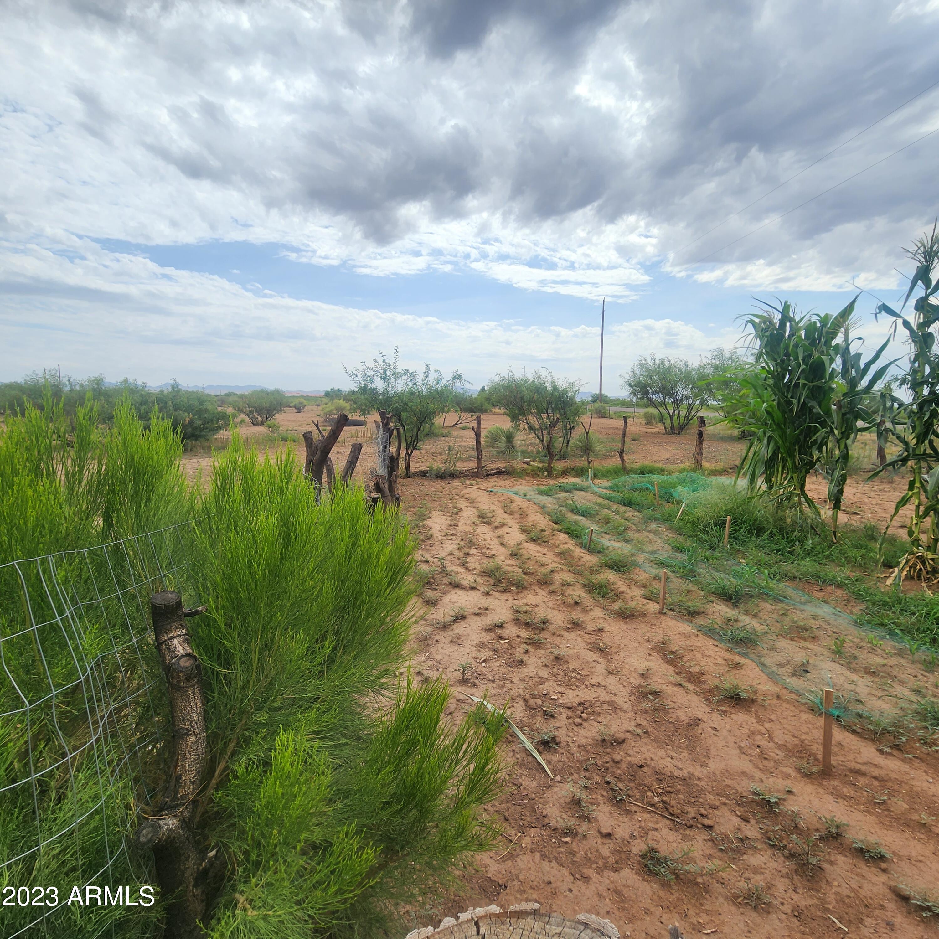 3686 West Double Adobe Road McNeal, AZ 85617 - Photo 38 of 79 20230723_100228