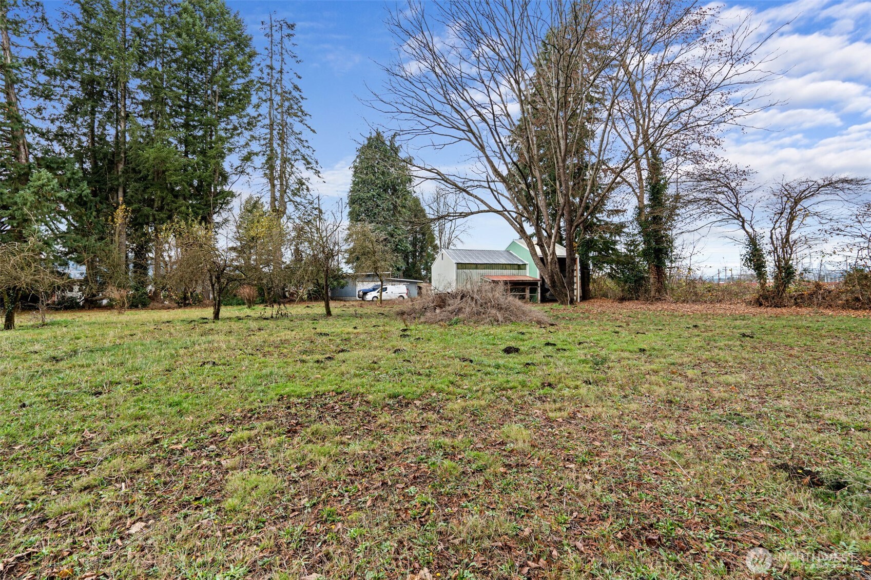 137 Aldrich Road Mossyrock, WA 98564 - Photo 22 of 30 a view of a backyard with large trees
