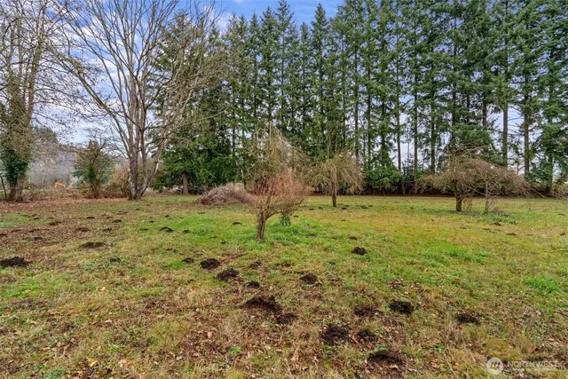 a view of backyard with green space