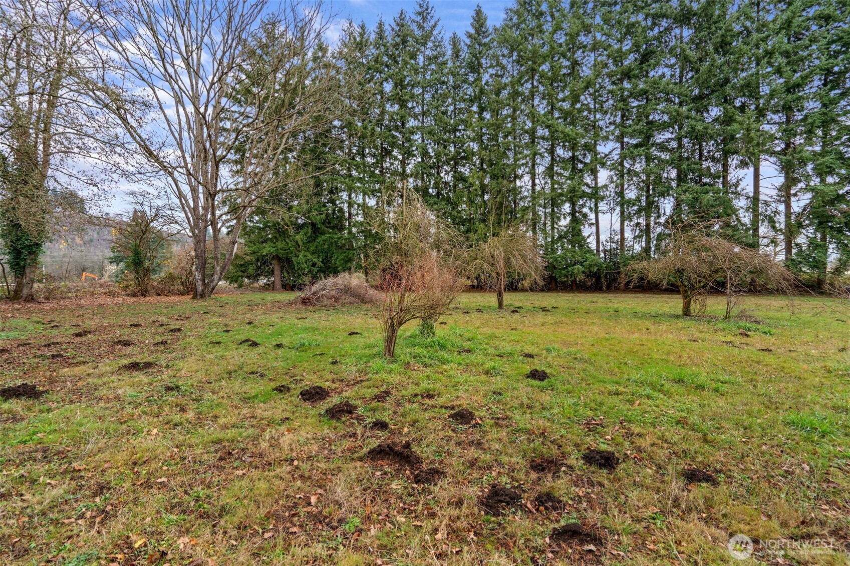 137 Aldrich Road Mossyrock, WA 98564 - Photo 23 of 30 a view of backyard with green space