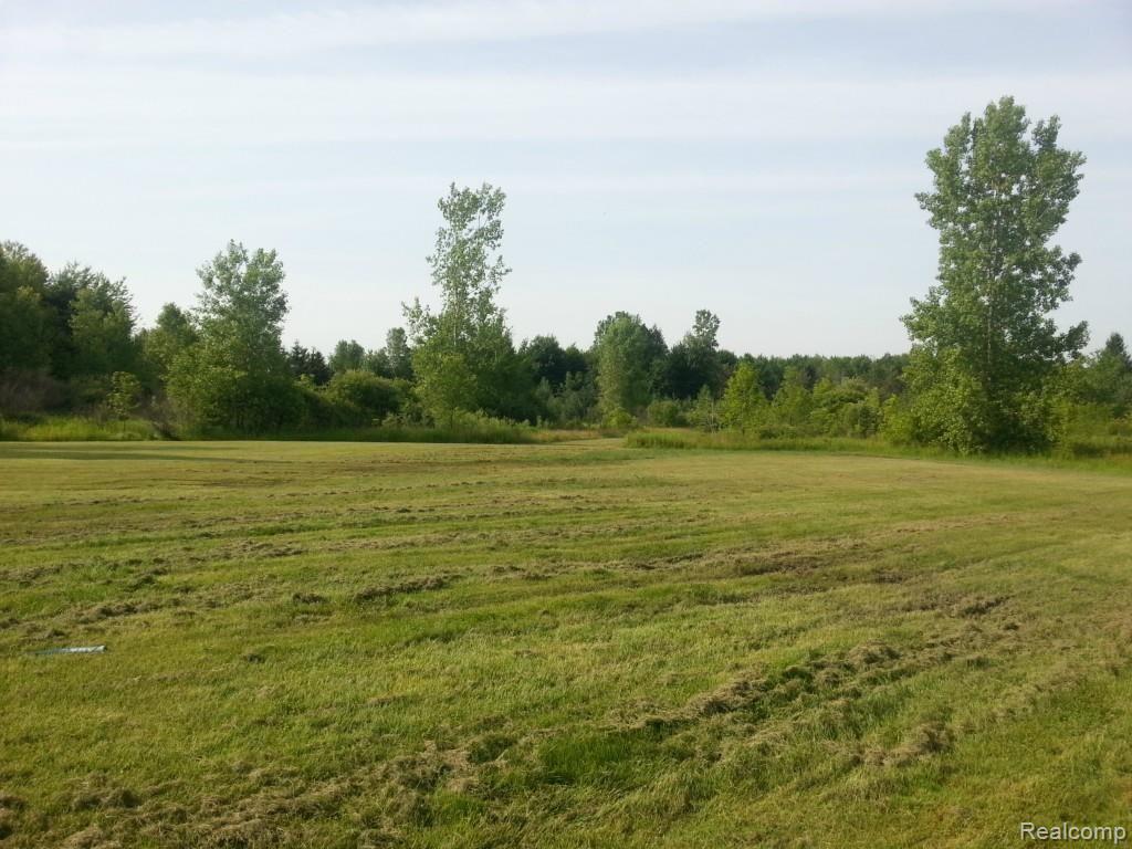 9505 Brandon Road Avoca, MI 48006 - Photo 25 of 45 20150626_085846.jpg
