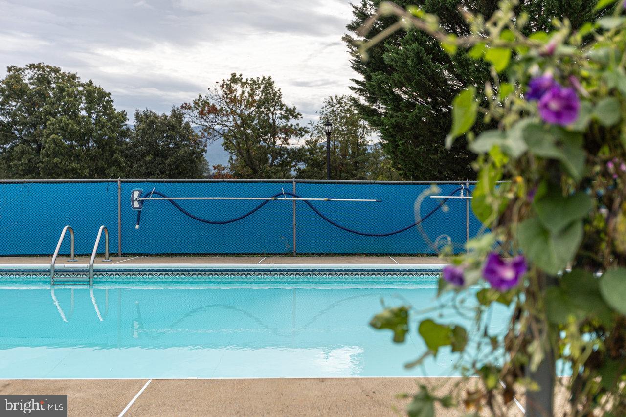 1 Rowe Drive Luray, VA 22835 - Photo 44 of 69