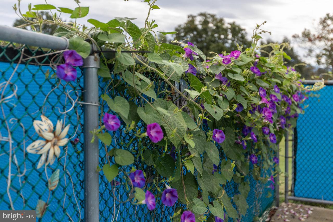 1 Rowe Drive Luray, VA 22835 - Photo 48 of 69