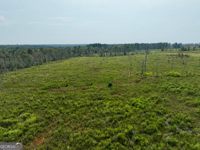 $1,095,000 | 4281 Highway 46, Soperton, GA 30457