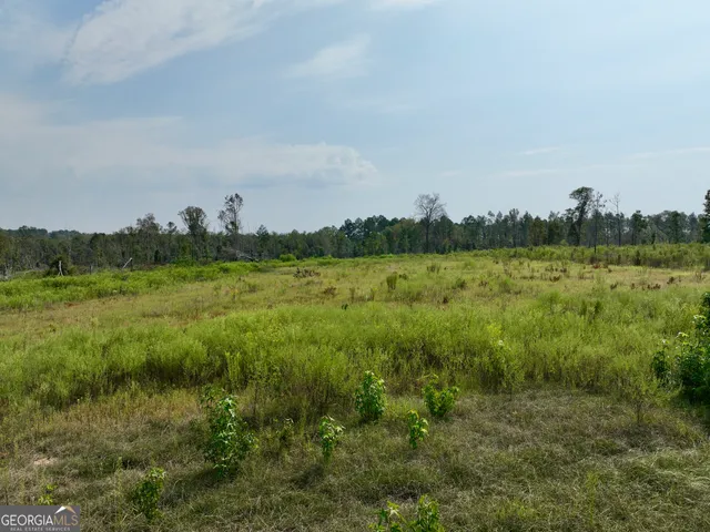 $1,095,000 | 4281 Highway 46, Soperton, GA 30457