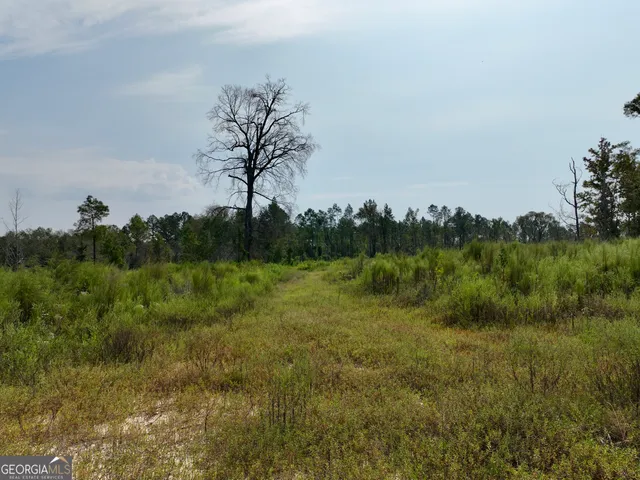 $1,095,000 | 4281 Highway 46, Soperton, GA 30457