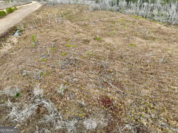 $1,095,000 | 4281 Highway 46, Soperton, GA 30457