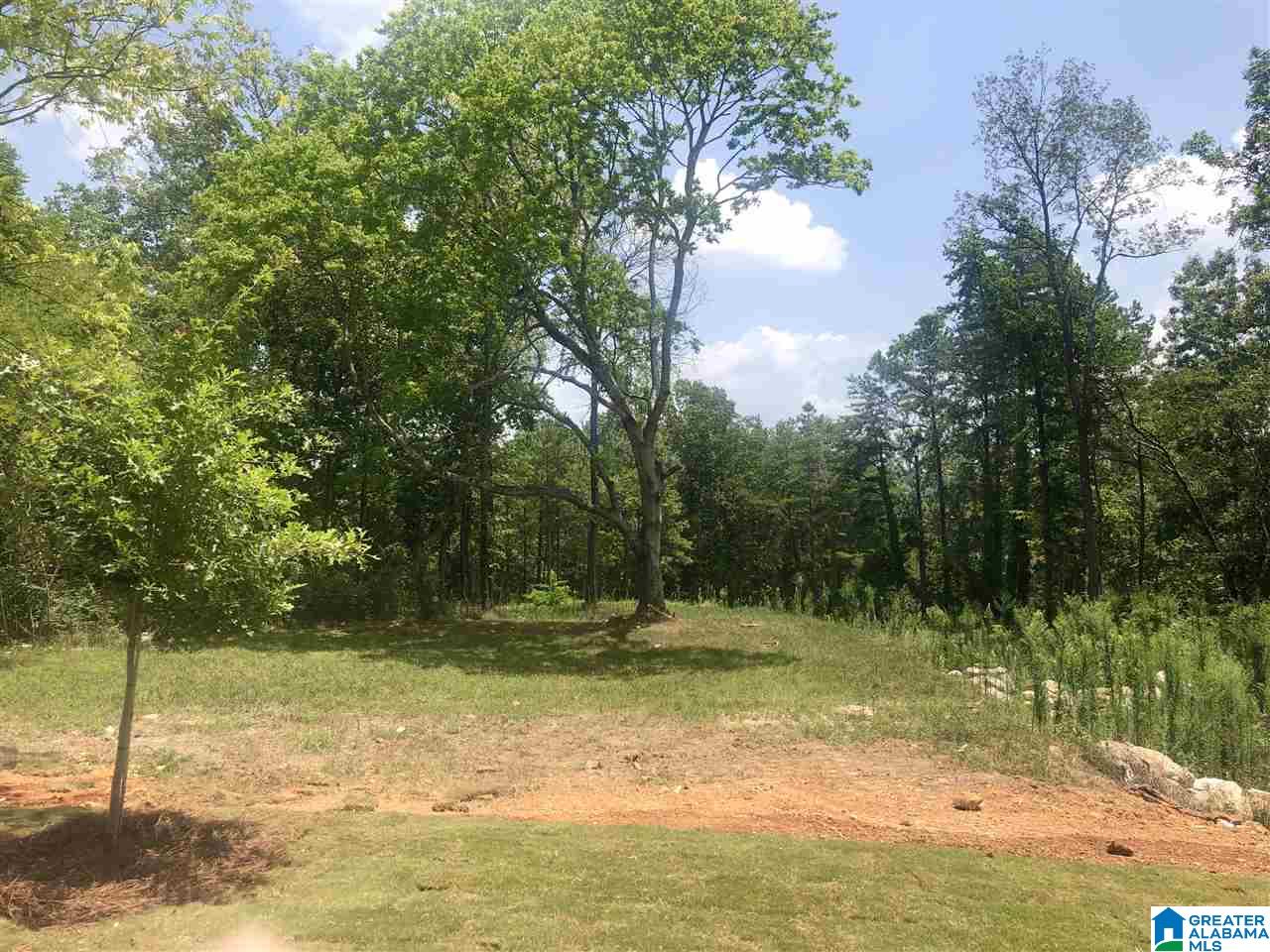 4014 Camellia Ridge Cove Pelham, AL 35124 - Photo 6 of 46