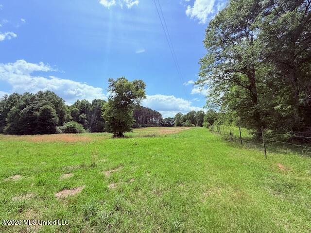 37 Fortenberry Road Tylertown, MS 39667 - Photo 71 of 83 IMG_3708