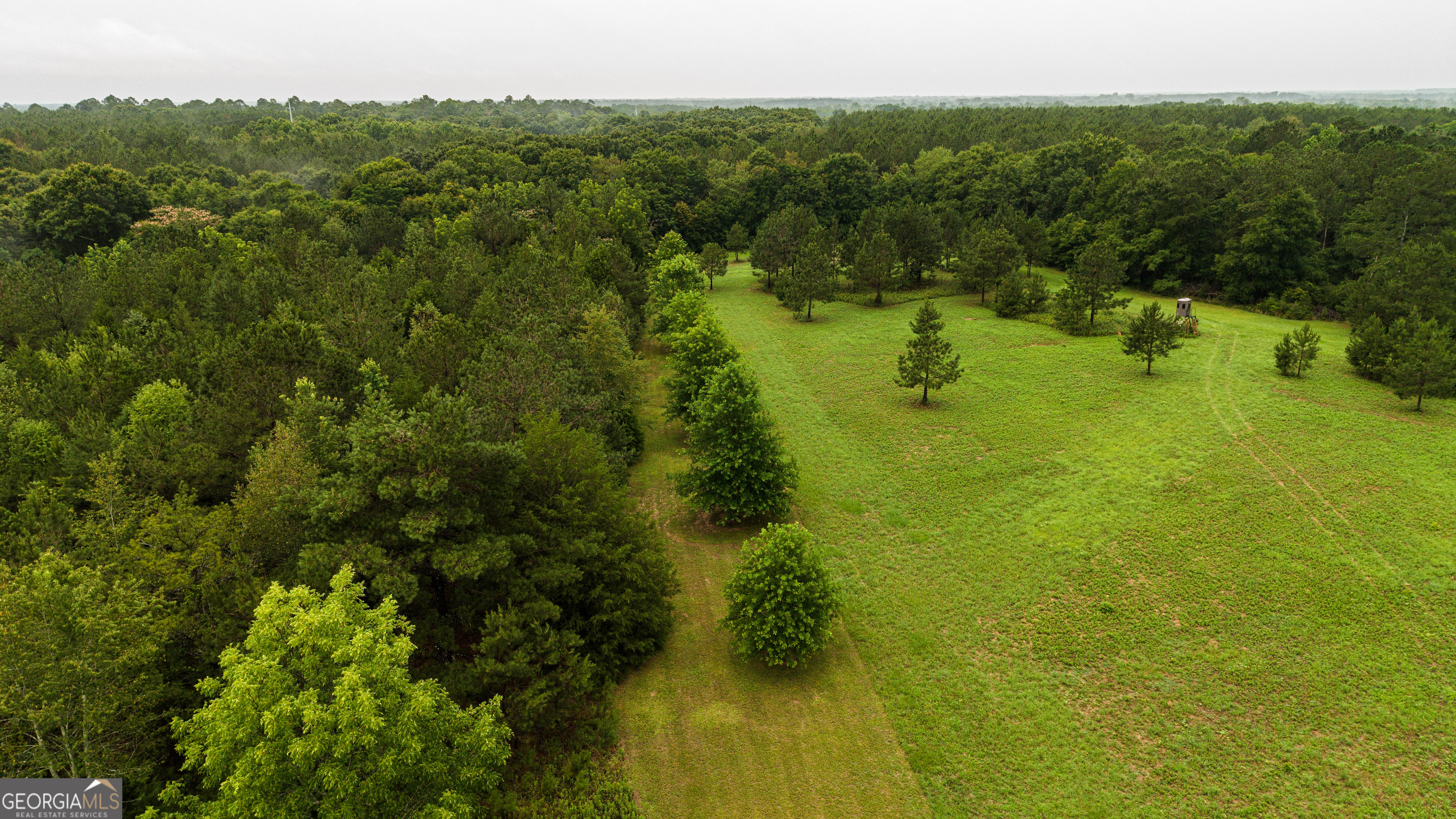 990 Highway 49 Americus, GA 31719 - Photo 3 of 121