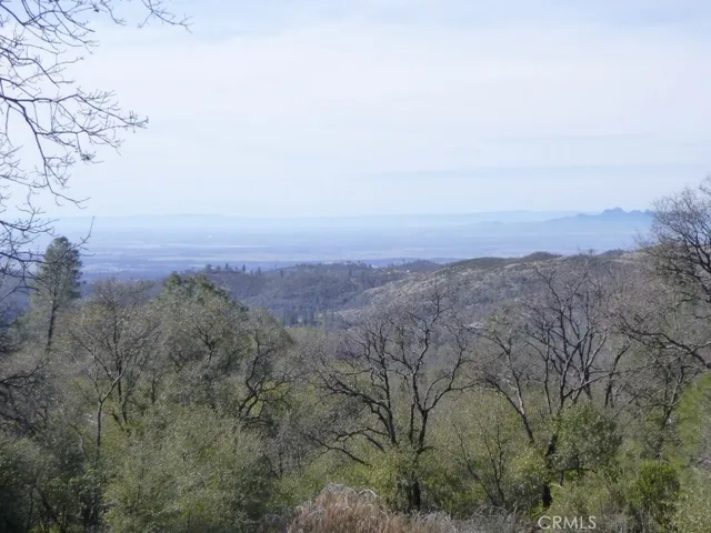 an aerial view of houses covered in trees