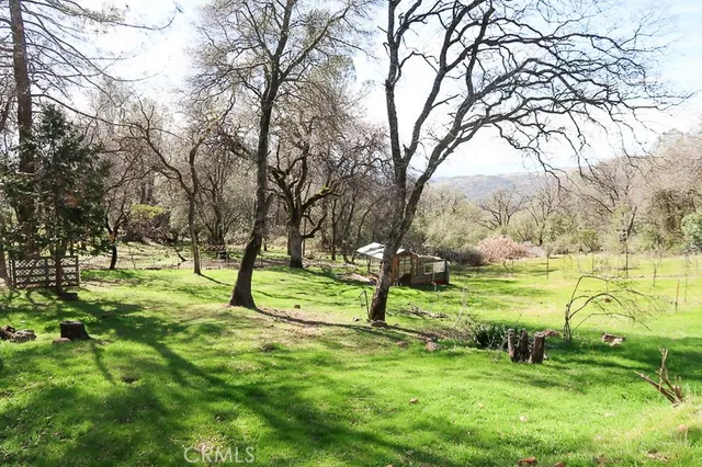 a view of a park with large trees