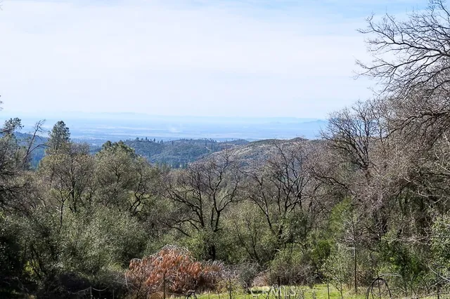 an aerial view of houses covered in trees